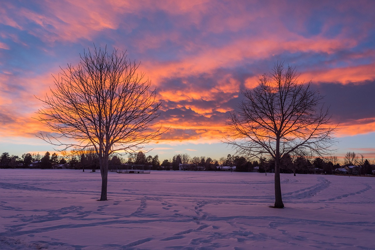 Denver Sunset